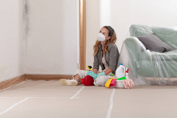 Reliable Black Mold Remediation contractor in Franklin Park, NJ by Mold Remediation HQ